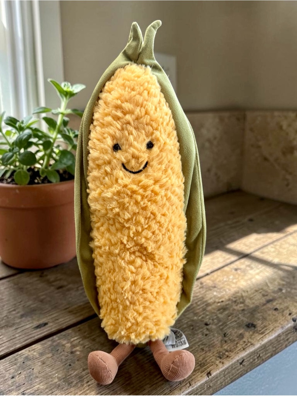 🌽𝐀𝐮𝐭𝐡𝐞𝐧𝐭𝐢𝐜 𝐉𝐞𝐥𝐥𝐲𝐜𝐚𝐭 𝐕𝐢𝐯𝐚𝐜𝐢𝐨𝐮𝐬 𝐕𝐞𝐠𝐞𝐭𝐚𝐛𝐥𝐞 𝐒𝐰𝐞𝐞𝐭𝐜𝐨𝐫𝐧🌽